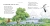 4.webp