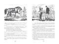 Всадник без головы. Морской волчонок
