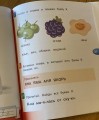 IMG_0462.jpeg