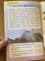 IMG_0476.jpeg