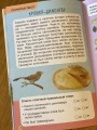 IMG_0481.jpeg