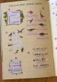 IMG_0483.jpeg