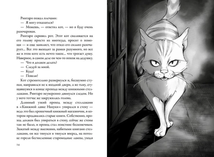 Кот, который любил книги 3.jpg