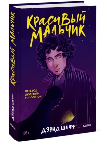 Красивый мальчик. Правдивая история отца, который боролся за сына 