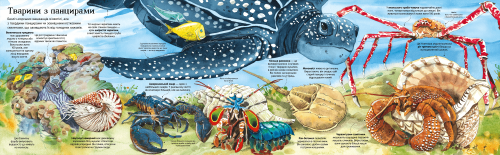 Велика книга морських мешканців2.png
