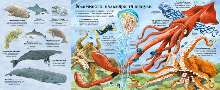 Велика книга морських мешканців3.png