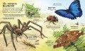 Велика книга комах і не тільки4.jpg