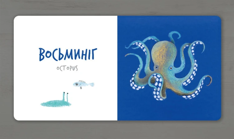 Збери веселку (набір, 7шт)5.jpg