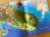IMG_0612.jpeg