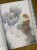 IMG_0870.jpeg