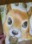 IMG_0845.jpeg