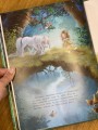 IMG_0855.jpeg