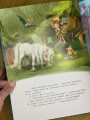 IMG_0856.jpeg