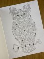 IMG_0748.jpeg