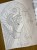 IMG_0752.jpeg