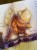 IMG_0769.jpeg