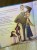 IMG_0772.jpeg