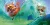 4.webp