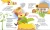 5.webp