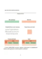 5.webp