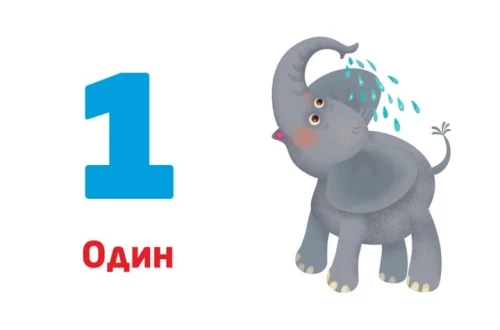 5.webp
