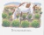 4.webp
