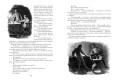 Графиня де Монсоро (иллюстр. М. Лелуара)