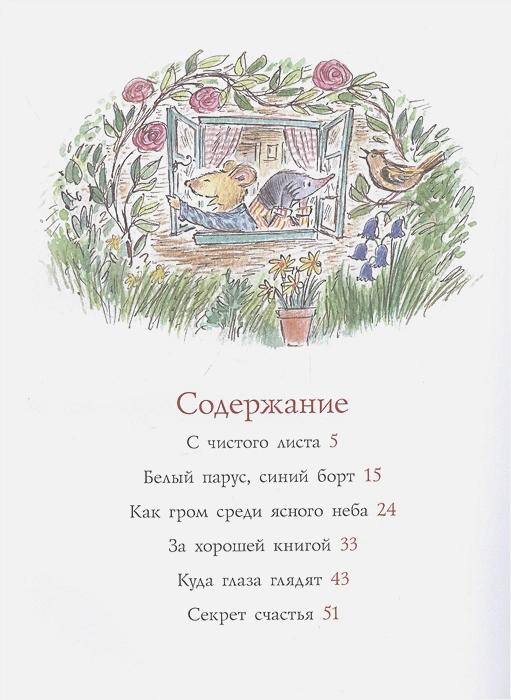 5.webp
