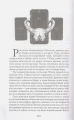 5.webp