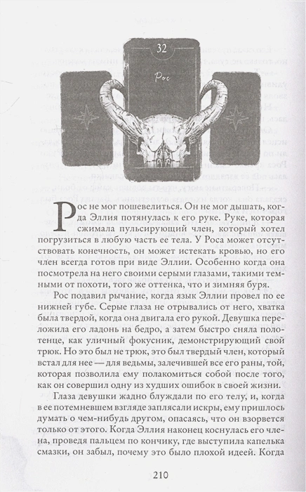 5.webp
