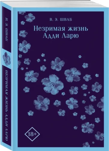 11.webp