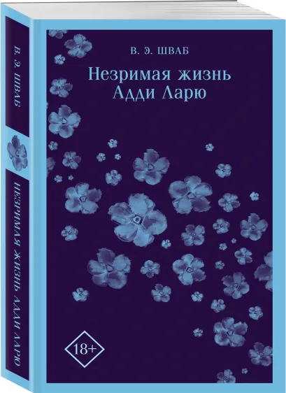 11.webp