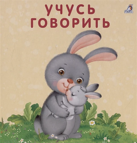 11.webp