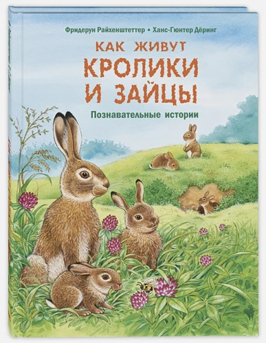 11.webp