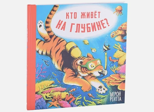 11.webp