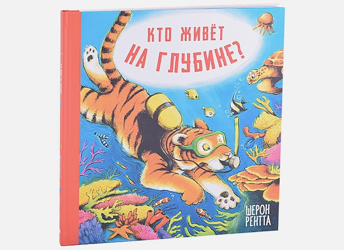 11.webp
