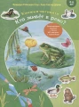 11.webp
