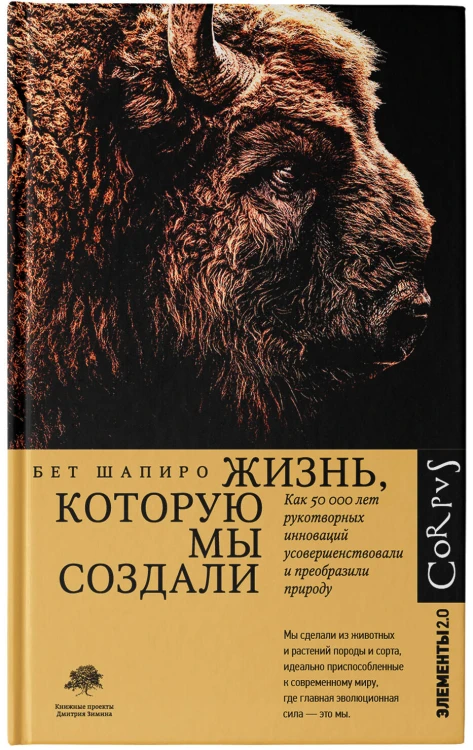 Жизнь, которую мы создали