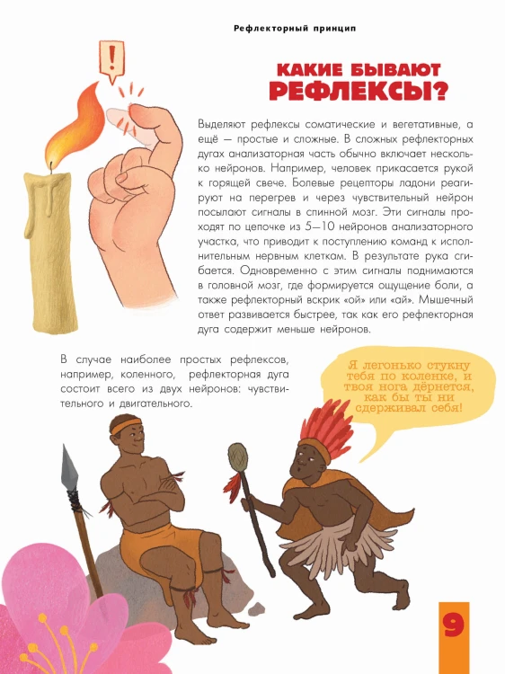 Мозг и нервная система