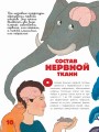 Мозг и нервная система
