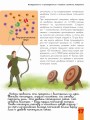 Мозг и нервная система