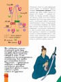 Мозг и нервная система