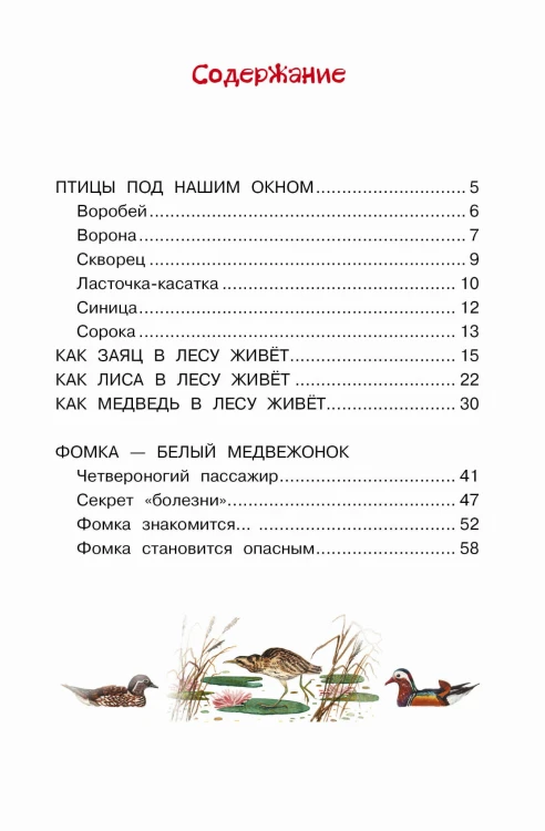 Фомка - белый медвежонок