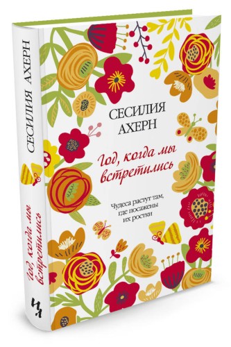 Год, когда мы встретились Ахерн Сесилия