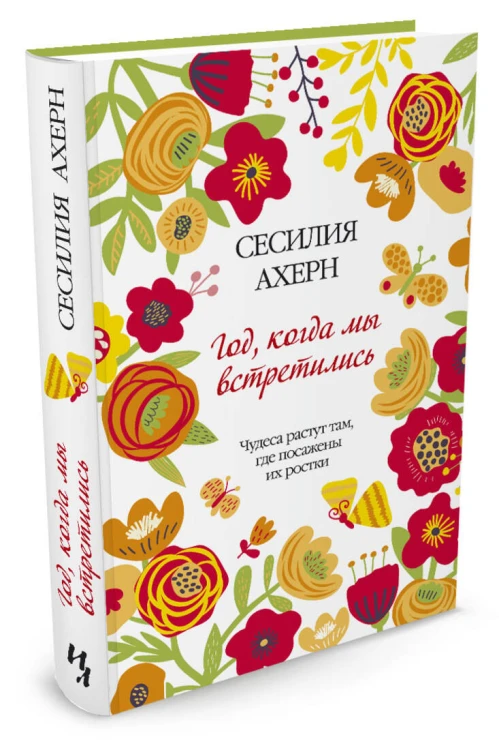 Год, когда мы встретились Ахерн Сесилия