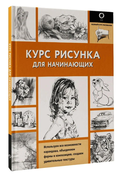 Курс рисунка для начинающих