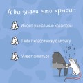 Чего окрысилась?! Как понимать своего питомца