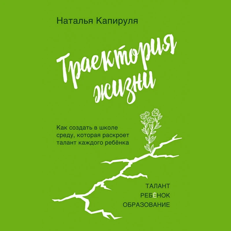 Траектория жизни. Как создать среду, которая раскроет талант каждого ребёнка. Талант. Ребёнок. Образование
