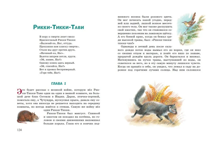 Рикки-Тикки-Тави. Сказки (ил. В. Канивца)