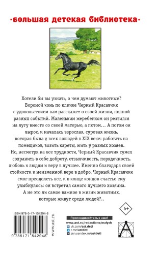 Черный красавчик